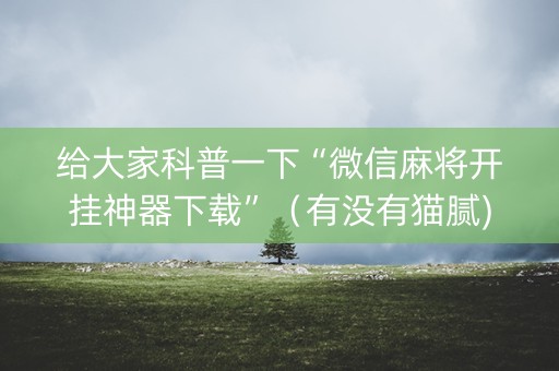 给大家科普一下“微信麻将开挂神器下载”（有没有猫腻)