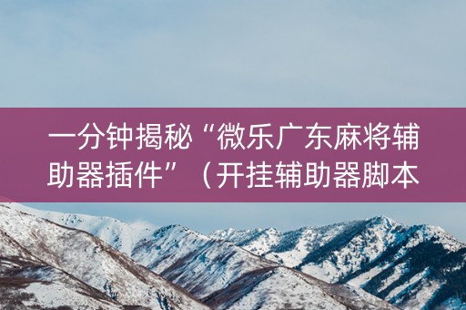 一分钟揭秘“微乐广东麻将辅助器插件”（开挂辅助器脚本)