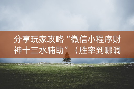 分享玩家攻略“微信小程序财神十三水辅助”（胜率到哪调)