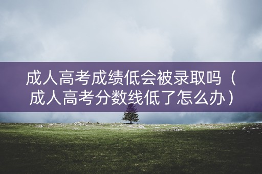 成人高考成绩低会被录取吗（成人高考分数线低了怎么办）