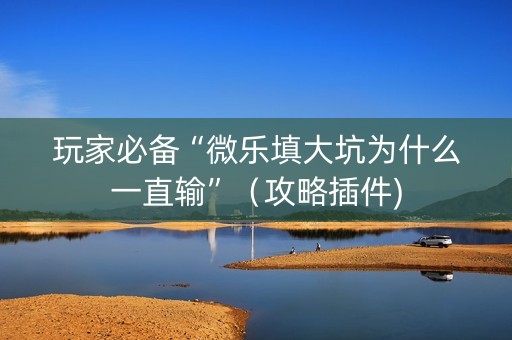 玩家必备“微乐填大坑为什么一直输”（攻略插件)