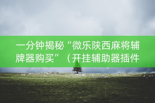 一分钟揭秘“微乐陕西麻将辅牌器购买”（开挂辅助器插件)