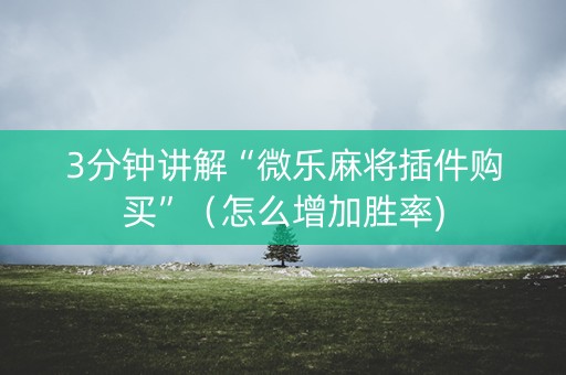 3分钟讲解“微乐麻将插件购买”（怎么增加胜率)