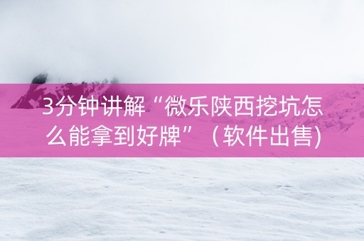 3分钟讲解“微乐陕西挖坑怎么能拿到好牌”（软件出售)