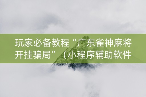 玩家必备教程“广东雀神麻将开挂骗局”（小程序辅助软件)
