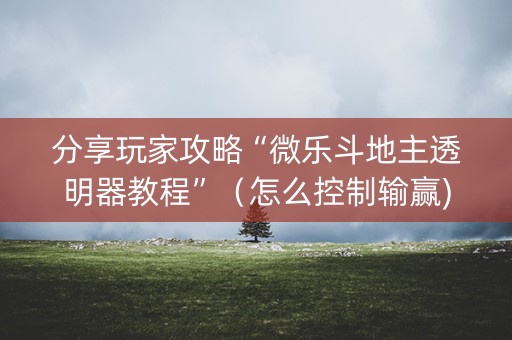分享玩家攻略“微乐斗地主透明器教程”（怎么控制输赢)