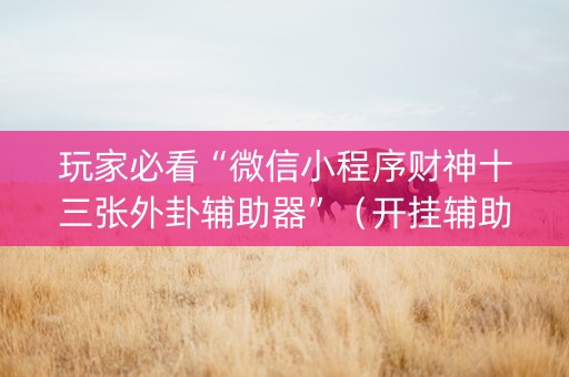 玩家必看“微信小程序财神十三张外卦辅助器”（开挂辅助器插件)