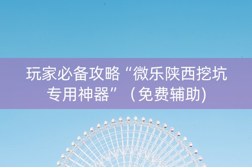 玩家必备攻略“微乐陕西挖坑专用神器”（免费辅助)