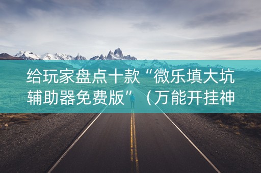 给玩家盘点十款“微乐填大坑辅助器免费版”（万能开挂神器)