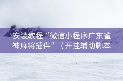 安装教程“微信小程序广东雀神麻将插件”（开挂辅助脚本)