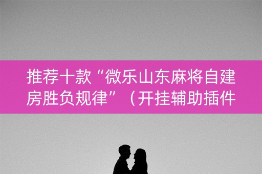 推荐十款“微乐山东麻将自建房胜负规律”（开挂辅助插件)