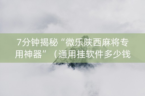 7分钟揭秘“微乐陕西麻将专用神器”（通用挂软件多少钱)
