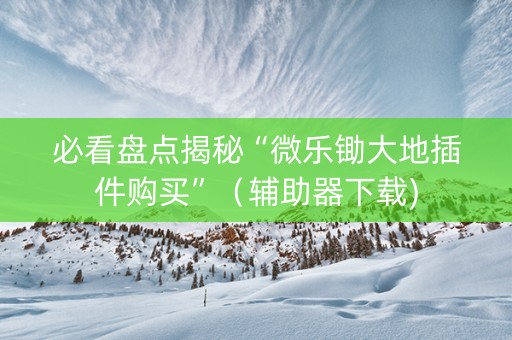 必看盘点揭秘“微乐锄大地插件购买”（辅助器下载)