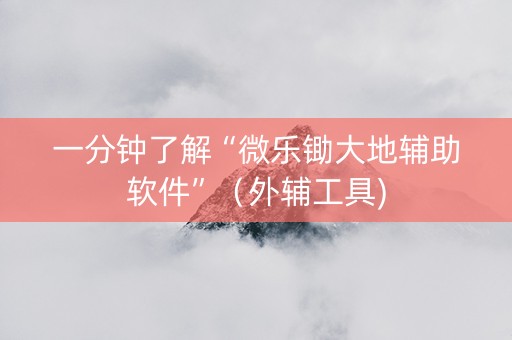 一分钟了解“微乐锄大地辅助软件”（外辅工具)