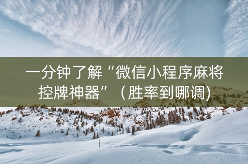 一分钟了解“微信小程序麻将控牌神器”（胜率到哪调)