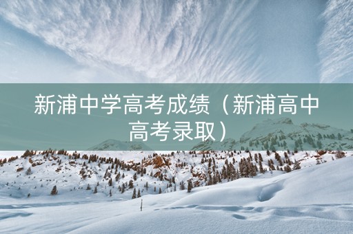 新浦中学高考成绩（新浦高中高考录取）