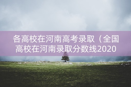 各高校在河南高考录取（全国高校在河南录取分数线2020高考）