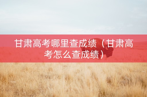 甘肃高考哪里查成绩（甘肃高考怎么查成绩）