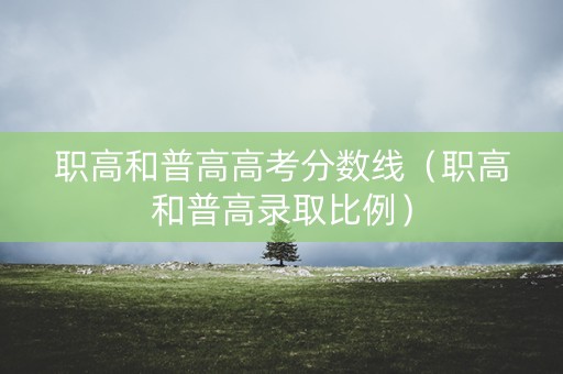 职高和普高高考分数线（职高和普高录取比例）
