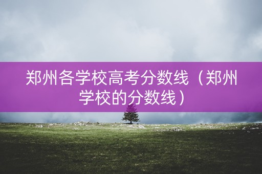 郑州各学校高考分数线（郑州学校的分数线）