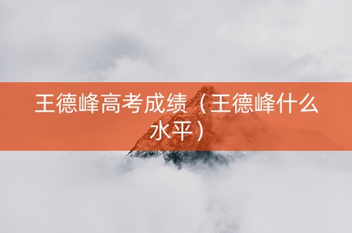 王德峰高考成绩（王德峰什么水平）
