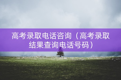高考录取电话咨询（高考录取结果查询电话号码）