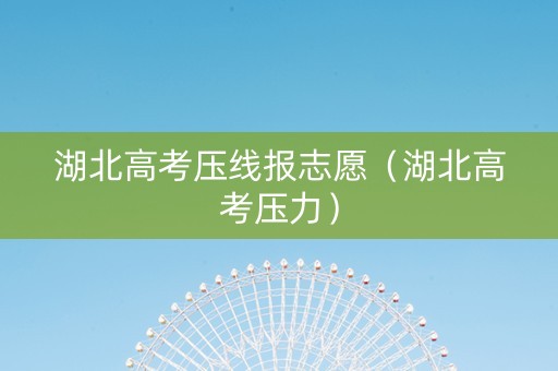 湖北高考压线报志愿（湖北高考压力）