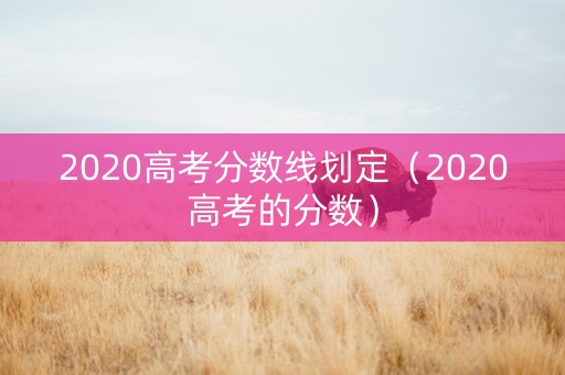 2020高考分数线划定（2020高考的分数）