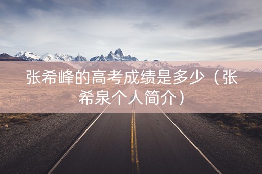 张希峰的高考成绩是多少（张希泉个人简介）