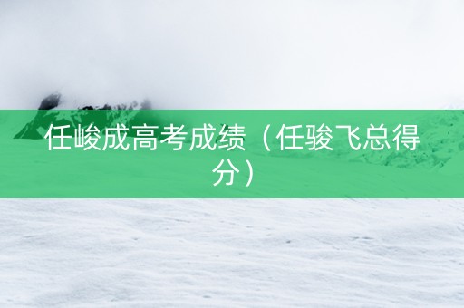 任峻成高考成绩（任骏飞总得分）