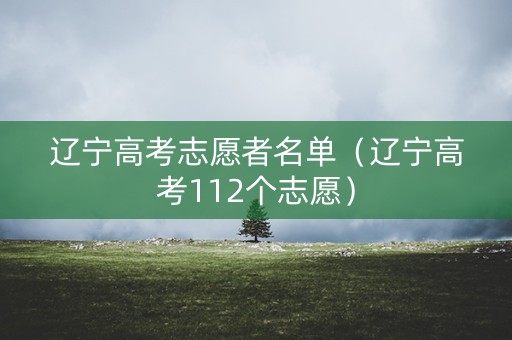 辽宁高考志愿者名单（辽宁高考112个志愿）
