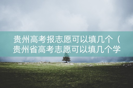 贵州高考报志愿可以填几个（贵州省高考志愿可以填几个学校几个专业）
