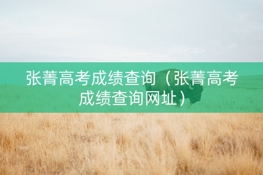 张菁高考成绩查询（张菁高考成绩查询网址）