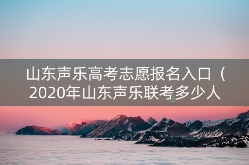 山东声乐高考志愿报名入口（2020年山东声乐联考多少人）
