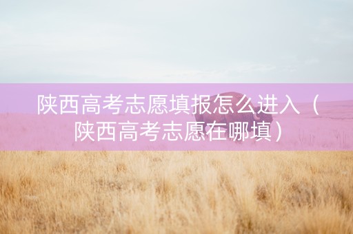 陕西高考志愿填报怎么进入（陕西高考志愿在哪填）