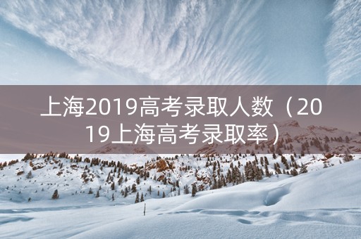 上海2019高考录取人数（2019上海高考录取率）