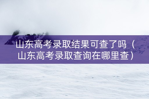 山东高考录取结果可查了吗（山东高考录取查询在哪里查）