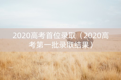 2020高考首位录取（2020高考第一批录取结果）