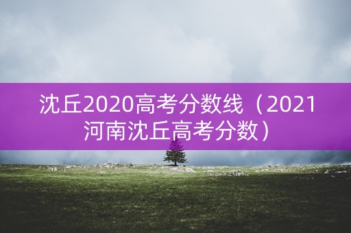 沈丘2020高考分数线（2021河南沈丘高考分数）