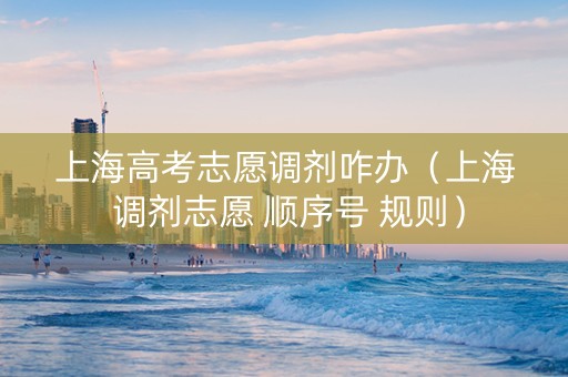 上海高考志愿调剂咋办（上海 调剂志愿 顺序号 规则）