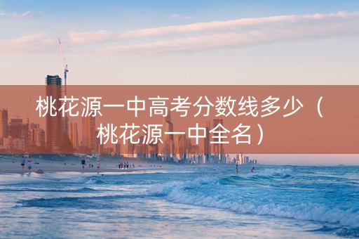 桃花源一中高考分数线多少（桃花源一中全名）