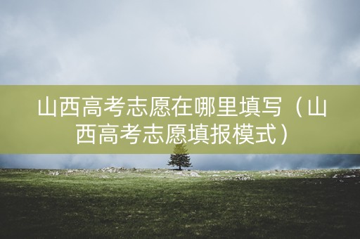 山西高考志愿在哪里填写（山西高考志愿填报模式）