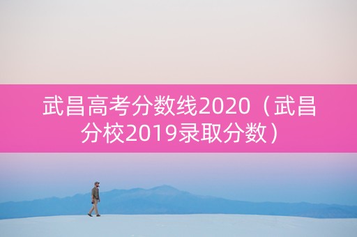 武昌高考分数线2020（武昌分校2019录取分数）