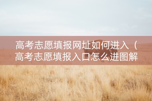高考志愿填报网址如何进入（高考志愿填报入口怎么进图解）