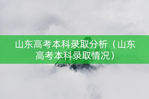 山东高考本科录取分析（山东高考本科录取情况）