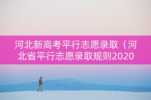 河北新高考平行志愿录取（河北省平行志愿录取规则2020）