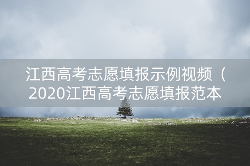江西高考志愿填报示例视频（2020江西高考志愿填报范本）