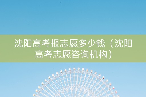 沈阳高考报志愿多少钱（沈阳高考志愿咨询机构）