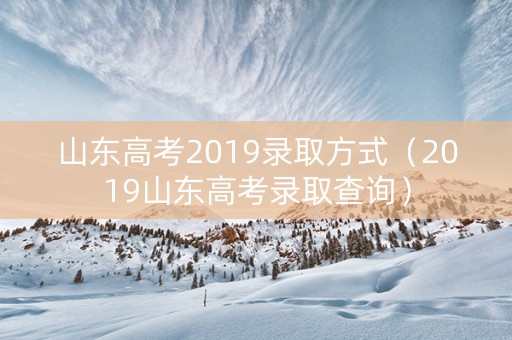 山东高考2019录取方式（2019山东高考录取查询）