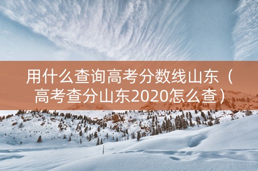 用什么查询高考分数线山东（高考查分山东2020怎么查）